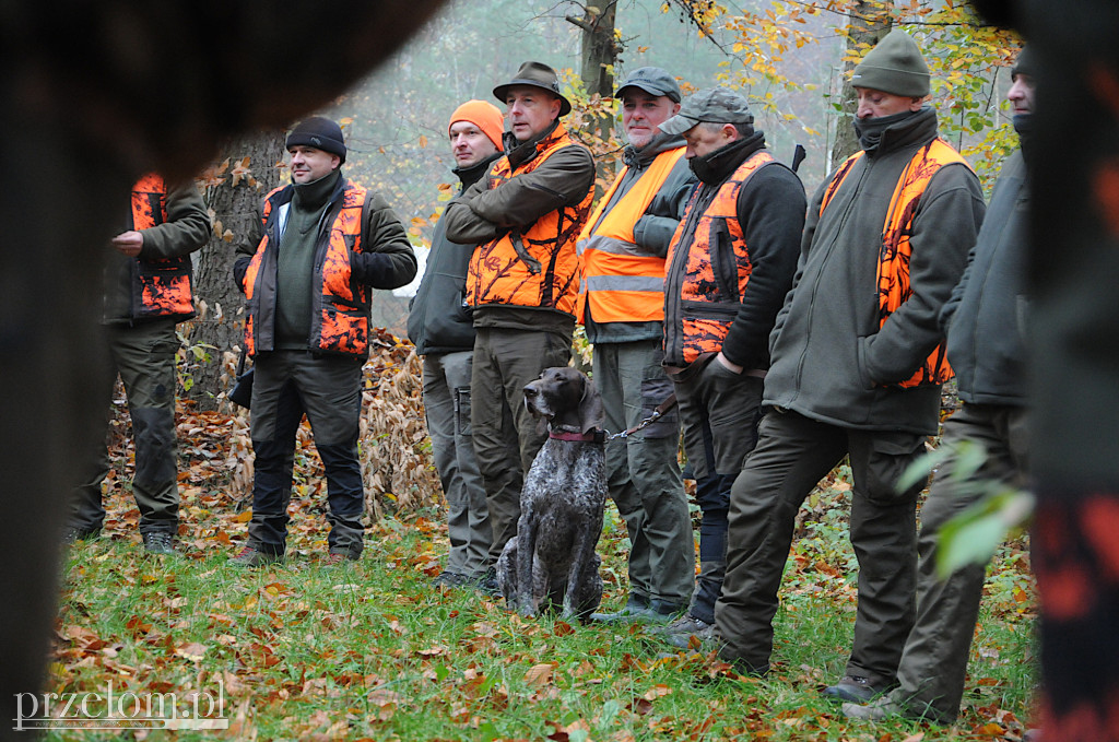 Jak wygląda polowanie? Hubertus w powiecie chrzanowskim