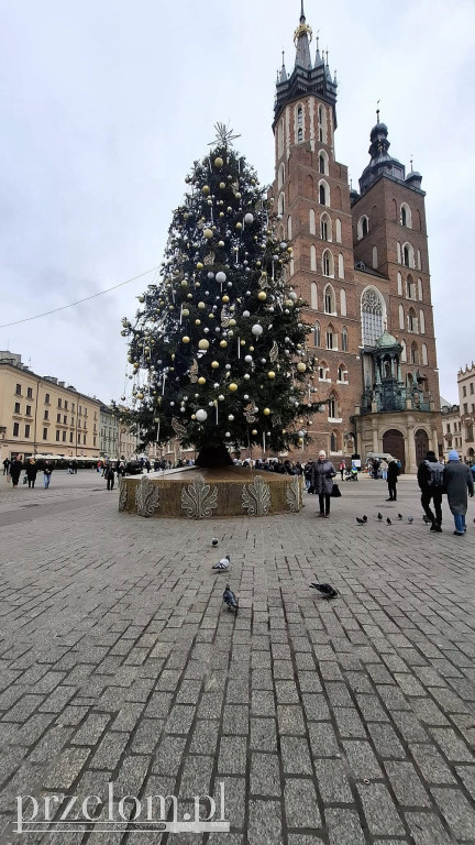 Ozdoby świąteczne miast w obiektywie Przełomowych Kadrów