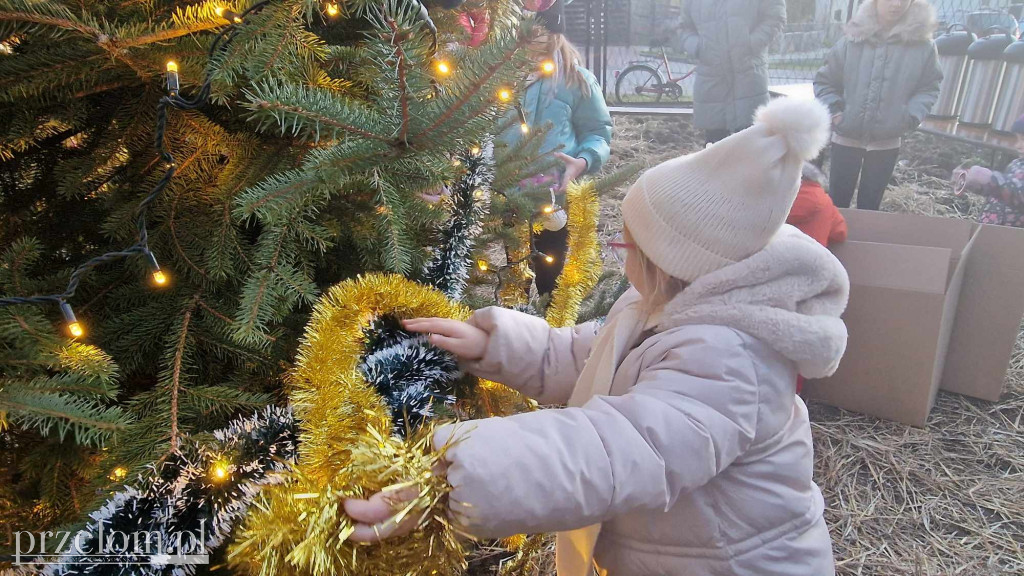 Wspólne Ubieranie Choinki w Zagórzu - 21.12.2024