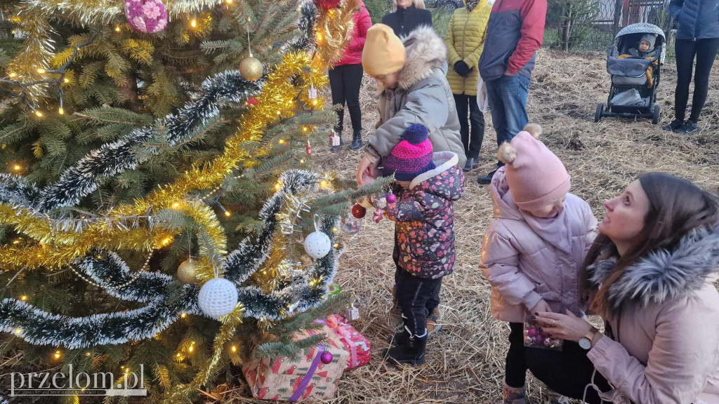 Wspólne Ubieranie Choinki w Zagórzu - 21.12.2024