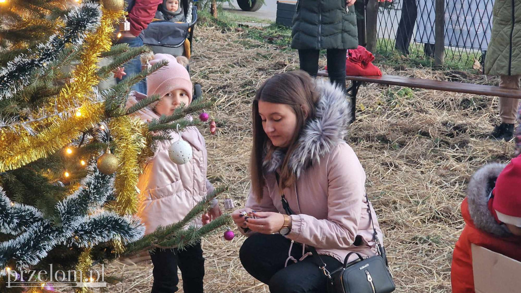 Wspólne Ubieranie Choinki w Zagórzu - 21.12.2024