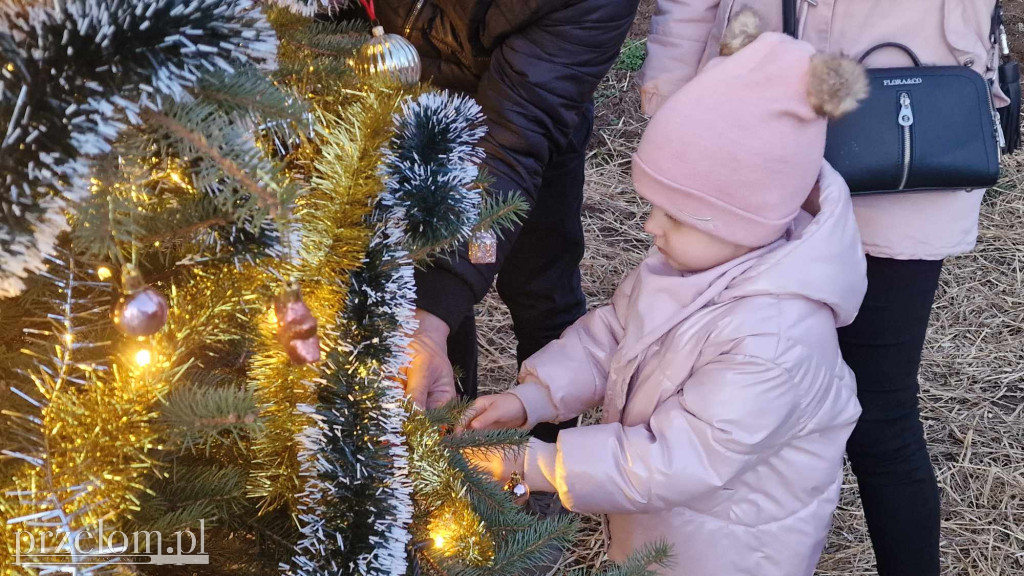 Wspólne Ubieranie Choinki w Zagórzu - 21.12.2024