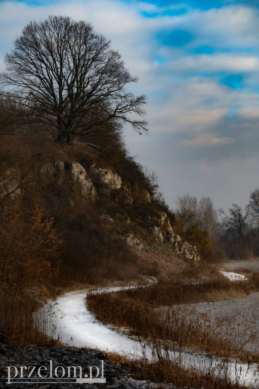 Skałki w Przełomowych Kadrach