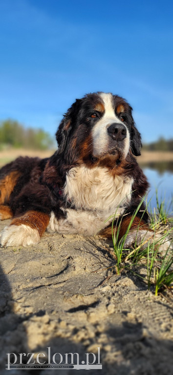 Portret w PRZEŁOmowych Kadrach
