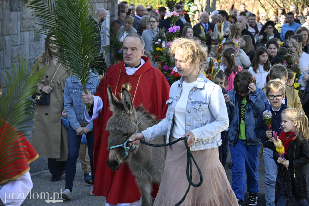 Niedziela Palmowa w Myślachowicach - 13.04.2025