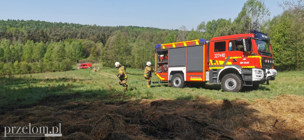 Pożar w Zalasiu