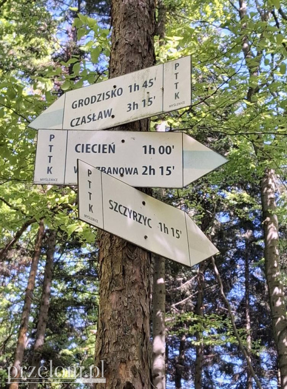 Na majowy spacer z PRZEŁOMowymi Kadrami