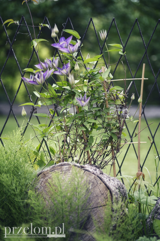 Natura w obiektywie PRZEŁOMowych Kadrów