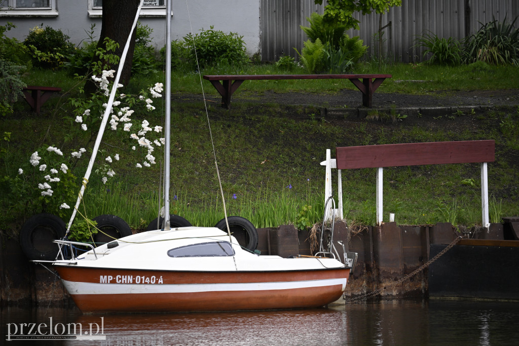 Regaty w Bezan Yacht Club - 17.05.2025
