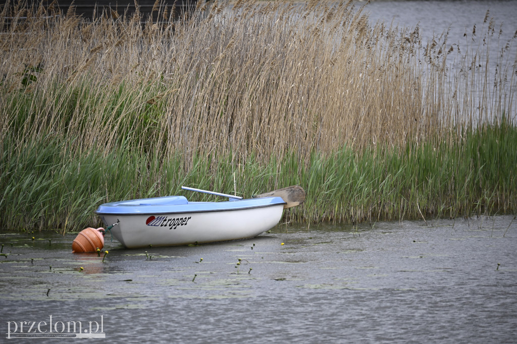 Regaty w Bezan Yacht Club - 17.05.2025
