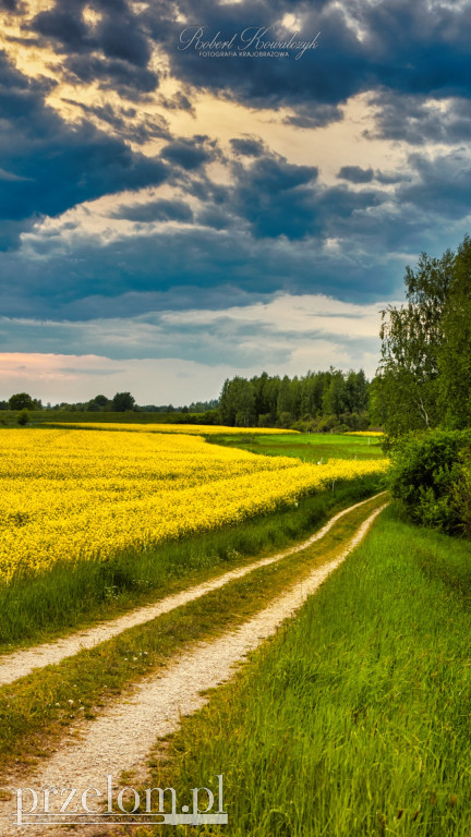 Krajobraz w PRZEŁOMowych Kadrach