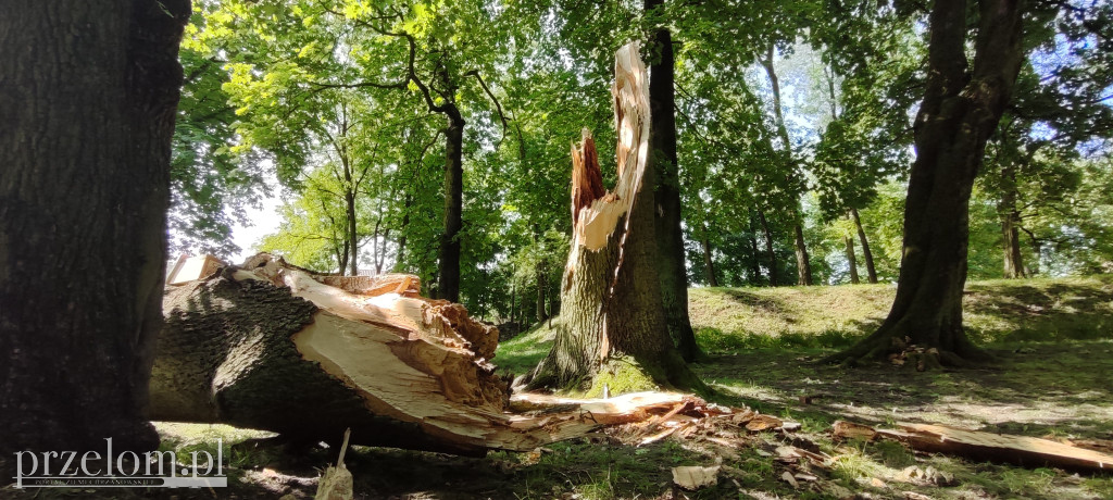 Park po nawałnicy w Chrzanowie Kościelcu