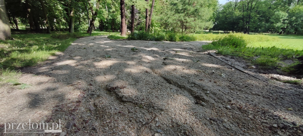 Park po nawałnicy w Chrzanowie Kościelcu