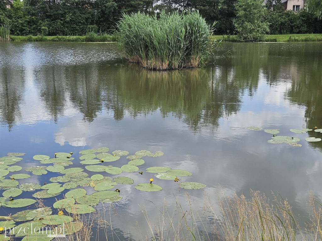 Stawy w PRZEŁOMowych Kadrach