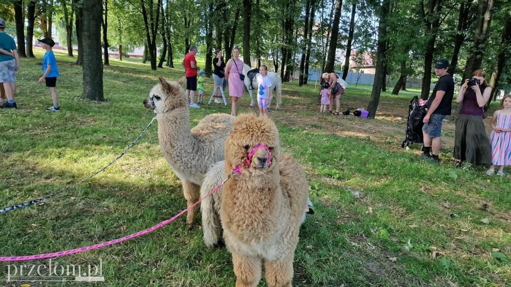 XXI Piknik Myślachowicki - 05.07.2025