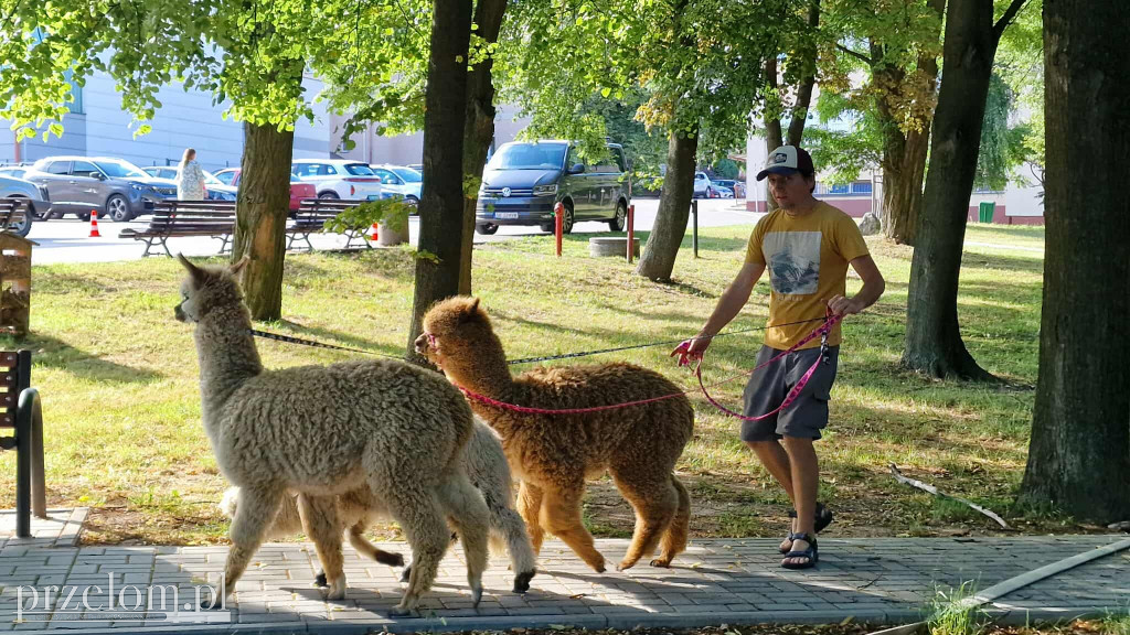 XXI Piknik Myślachowicki - 05.07.2025