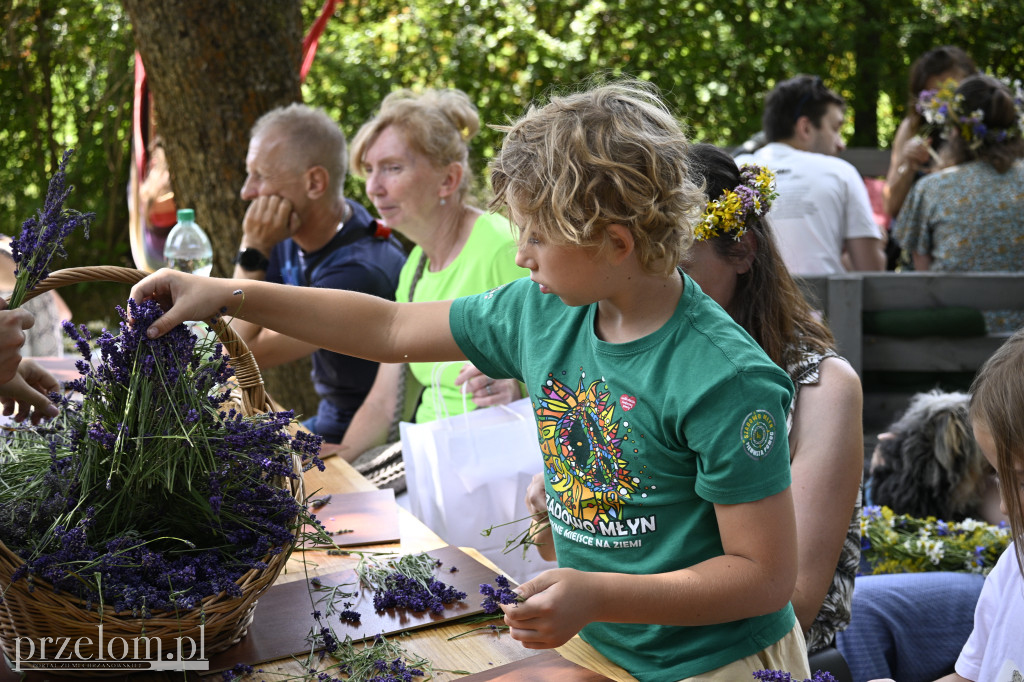 Piąte Święto Polnych Kwiatów - 06.07.2025 - Czuła Stodoła