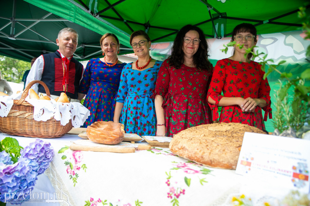 Bitwa Regionów w Krzeszowicach