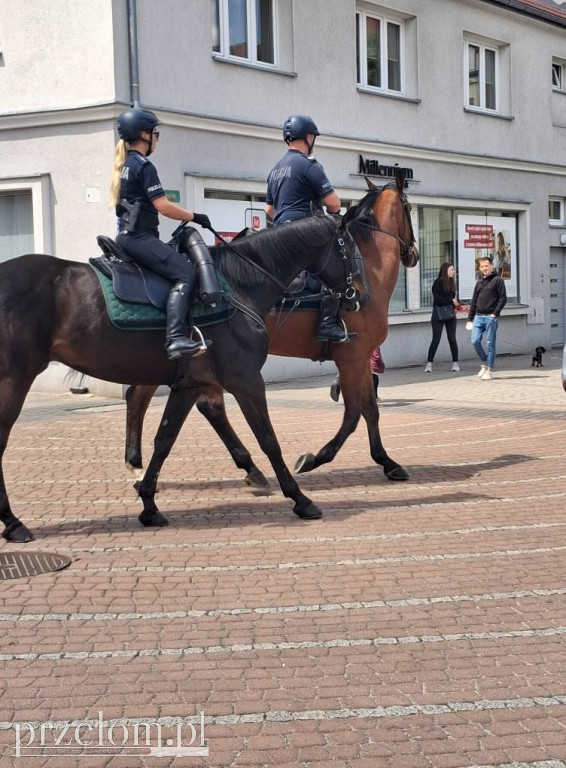Ciekawy transport w Przełomowych Kadrach