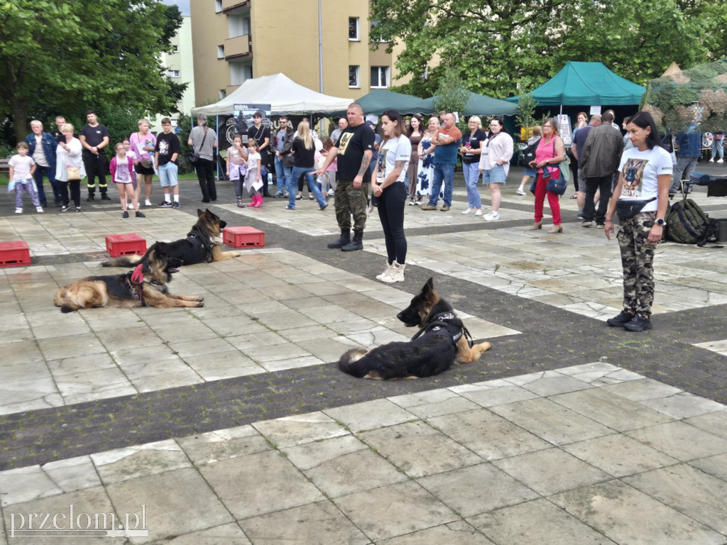 II Piknik historyczny w Libiążu
