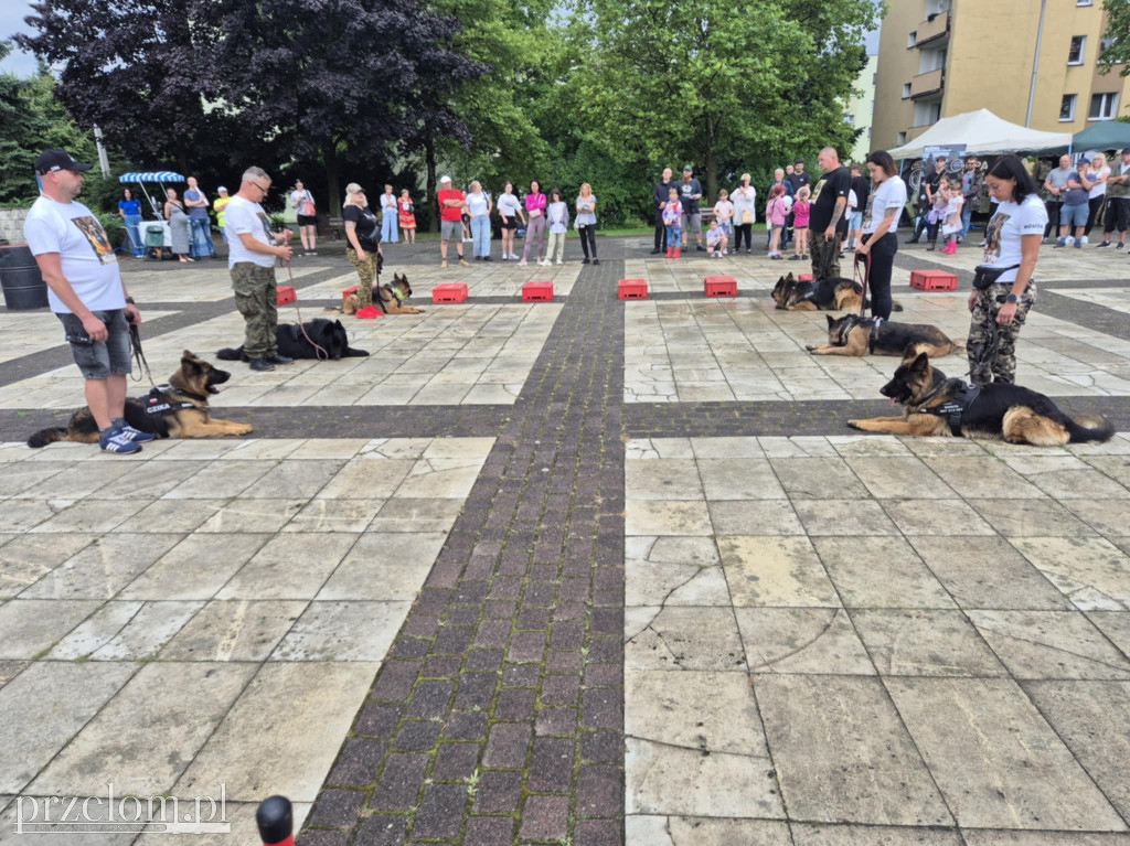 II Piknik historyczny w Libiążu