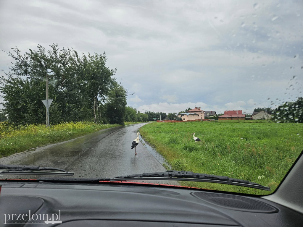 Road w Przełomowych Kadrach
