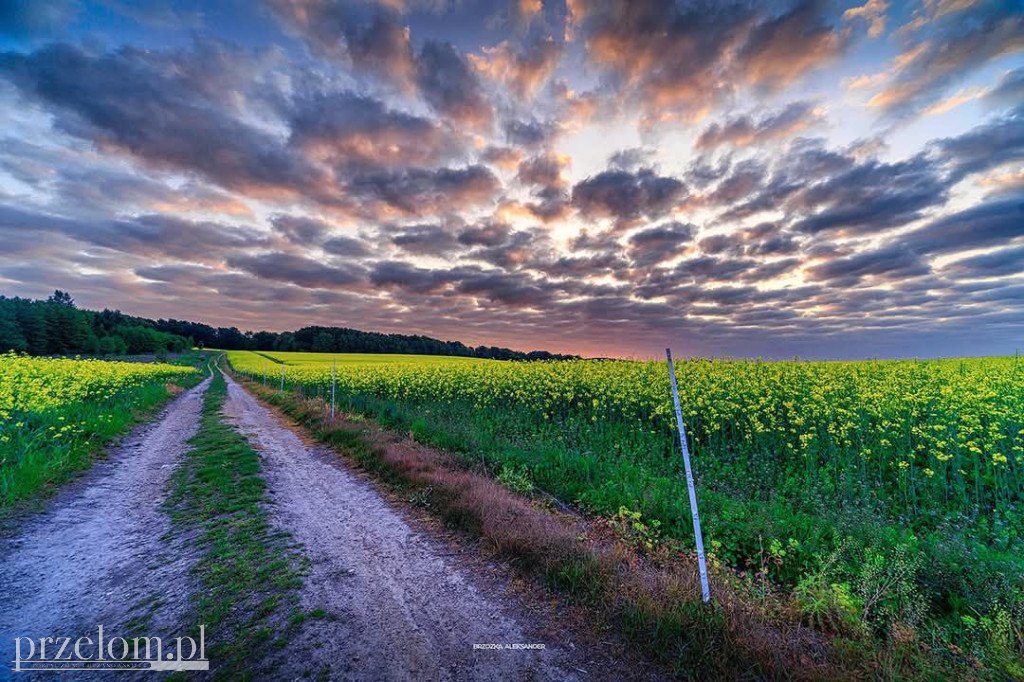 Road w Przełomowych Kadrach