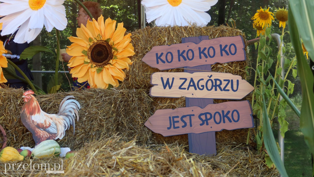 Dożynki w Zagórzu