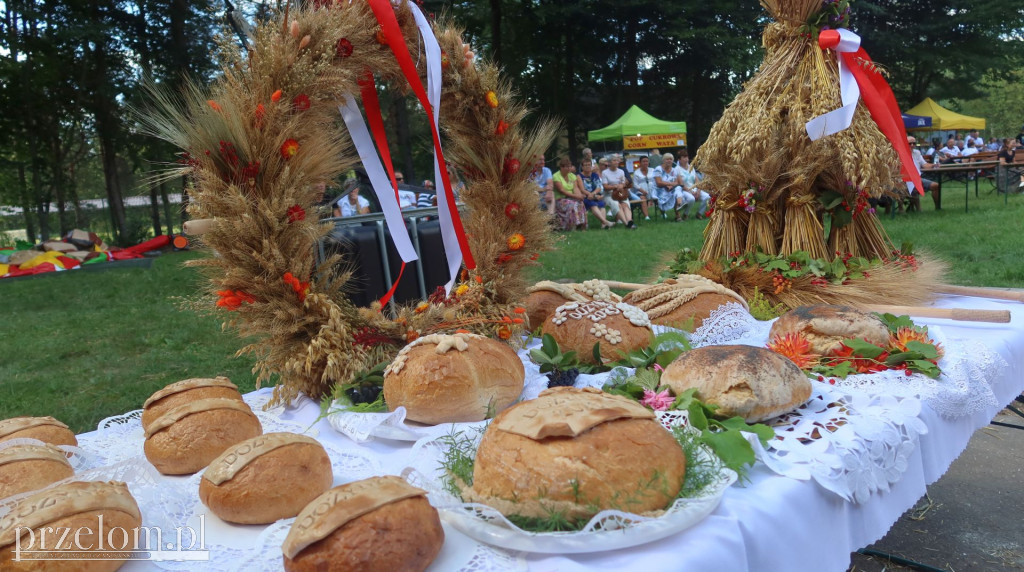 Dożynki w Zagórzu