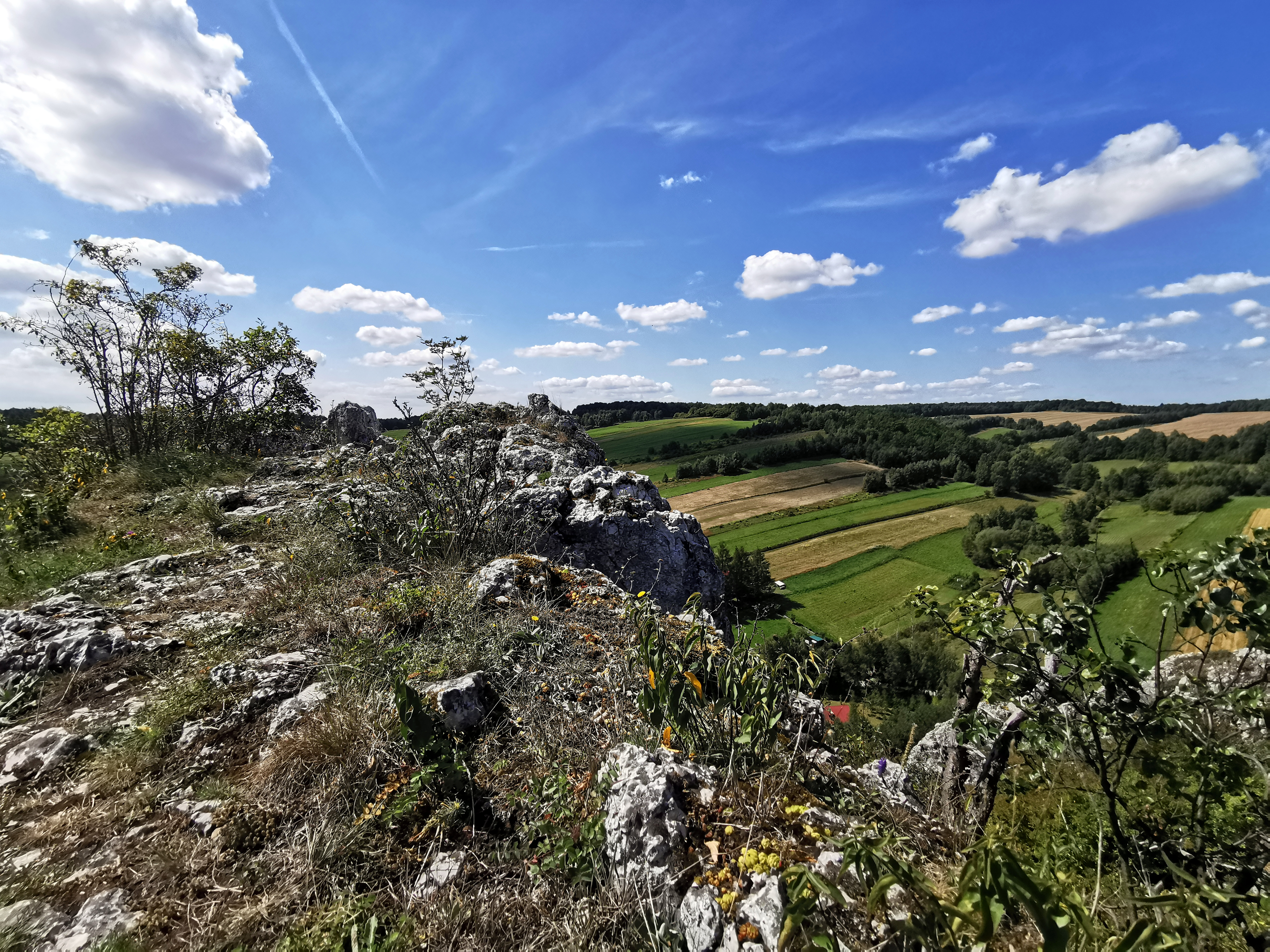 Cuda krzeszowickiego pogranicza