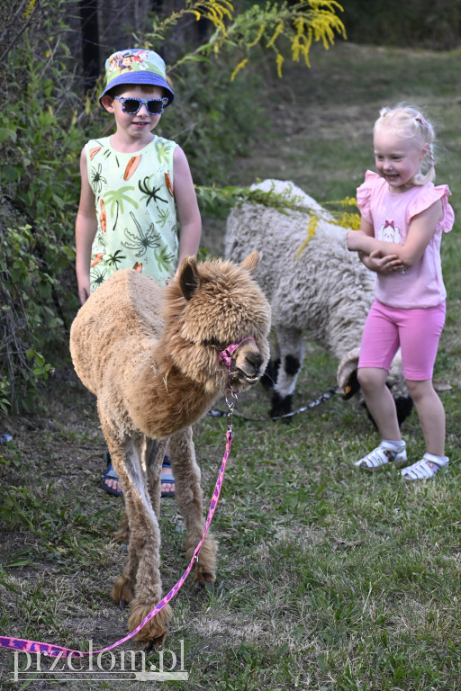Piknik Osiedla Centrum w Trzebini - 30.08 2025