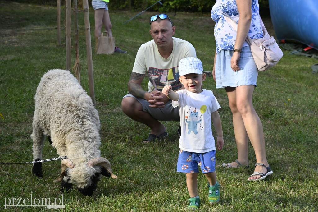 Piknik Osiedla Centrum w Trzebini - 30.08 2025
