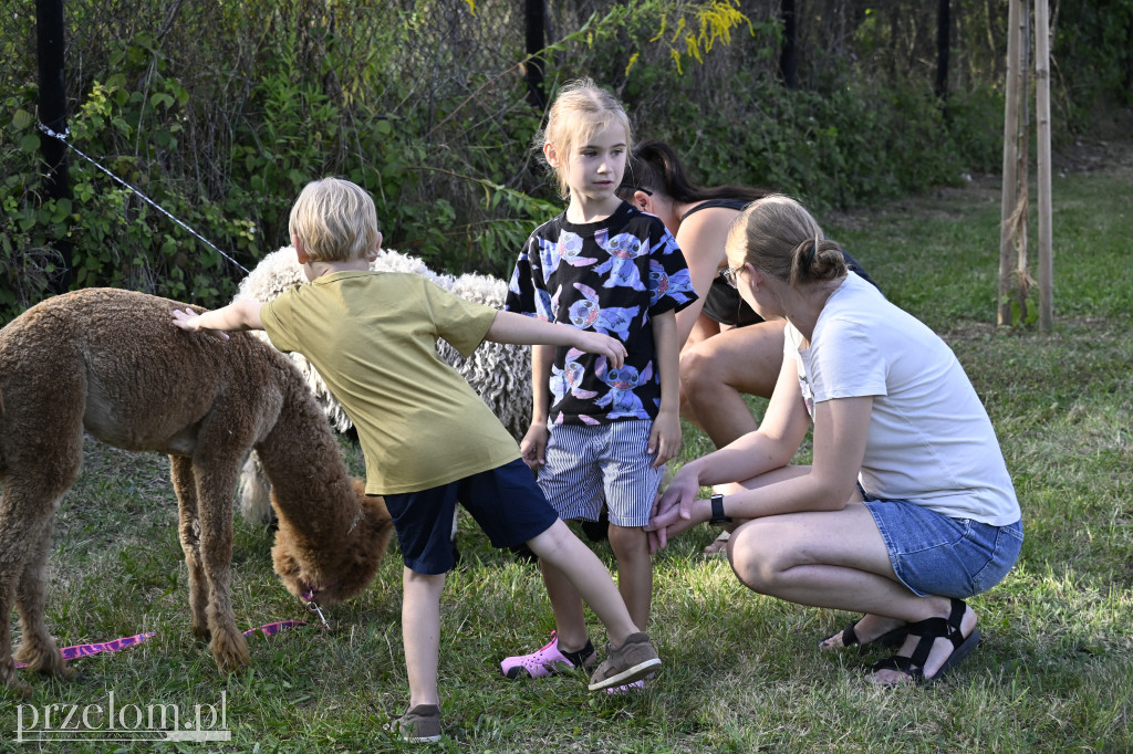 Piknik Osiedla Centrum w Trzebini - 30.08 2025