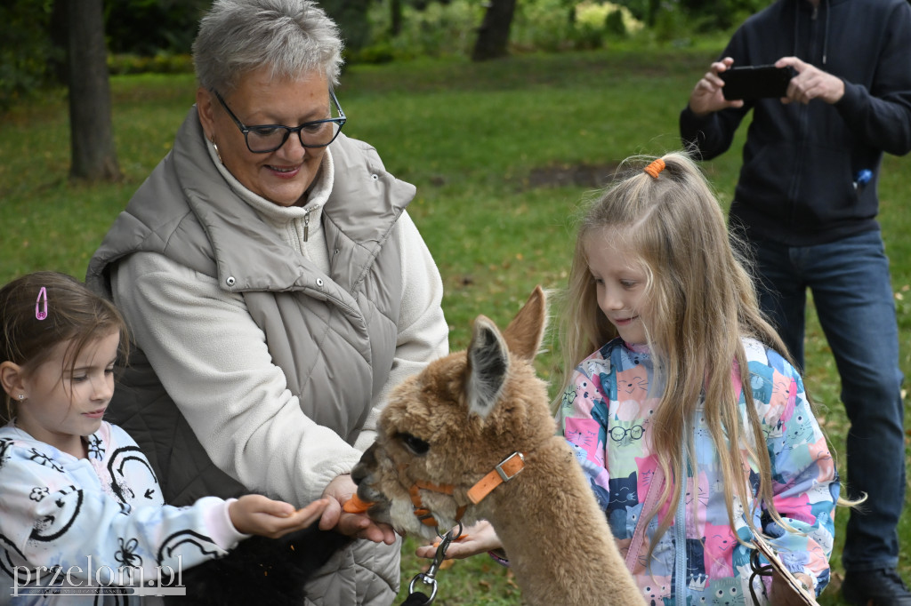 Piknik rodzinny w Górce - 06.09.2025
