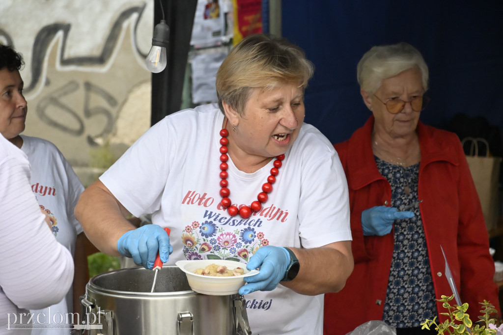 Piknik rodzinny w Pile Kościeleckiej - 06.09.2025