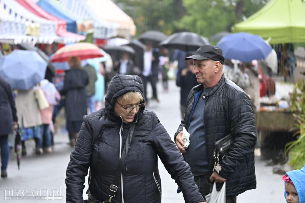 Uroczystości Odpustowe w Płokach - 14.09.2025