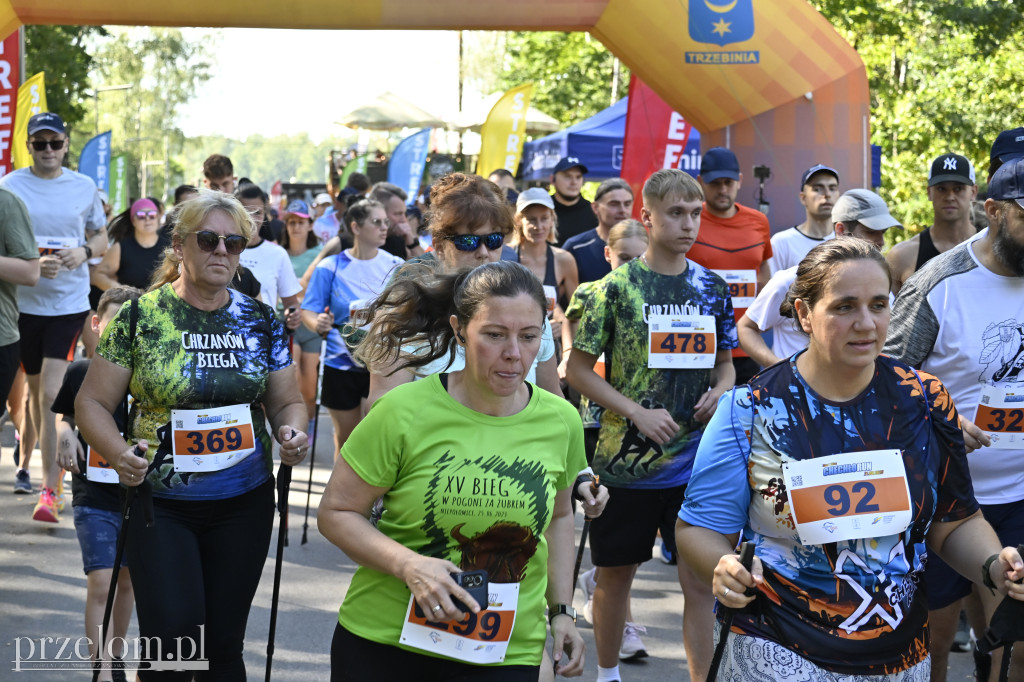Chechło Run 2025 - 21.09.2025
