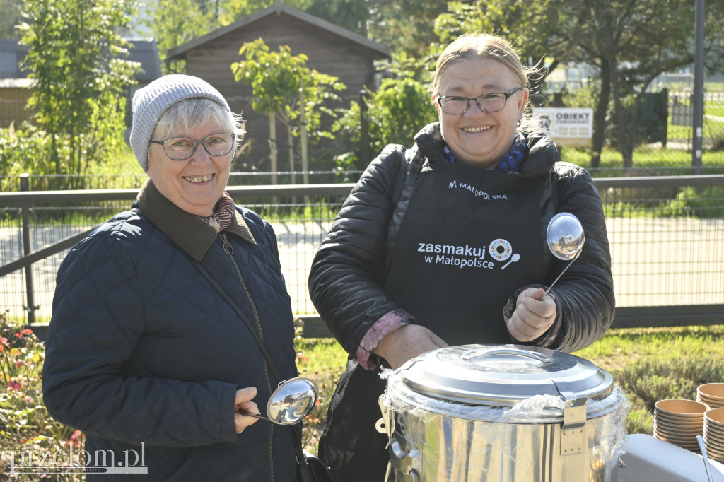 Aktywna Sobota w Krzeszowicach - 04.10.2025