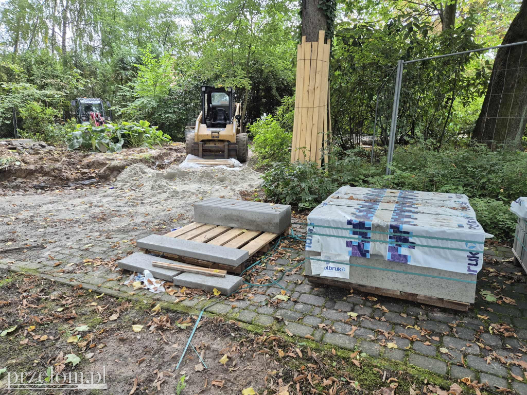 Rewitalizacja parku krzeszowickiej balneologii
