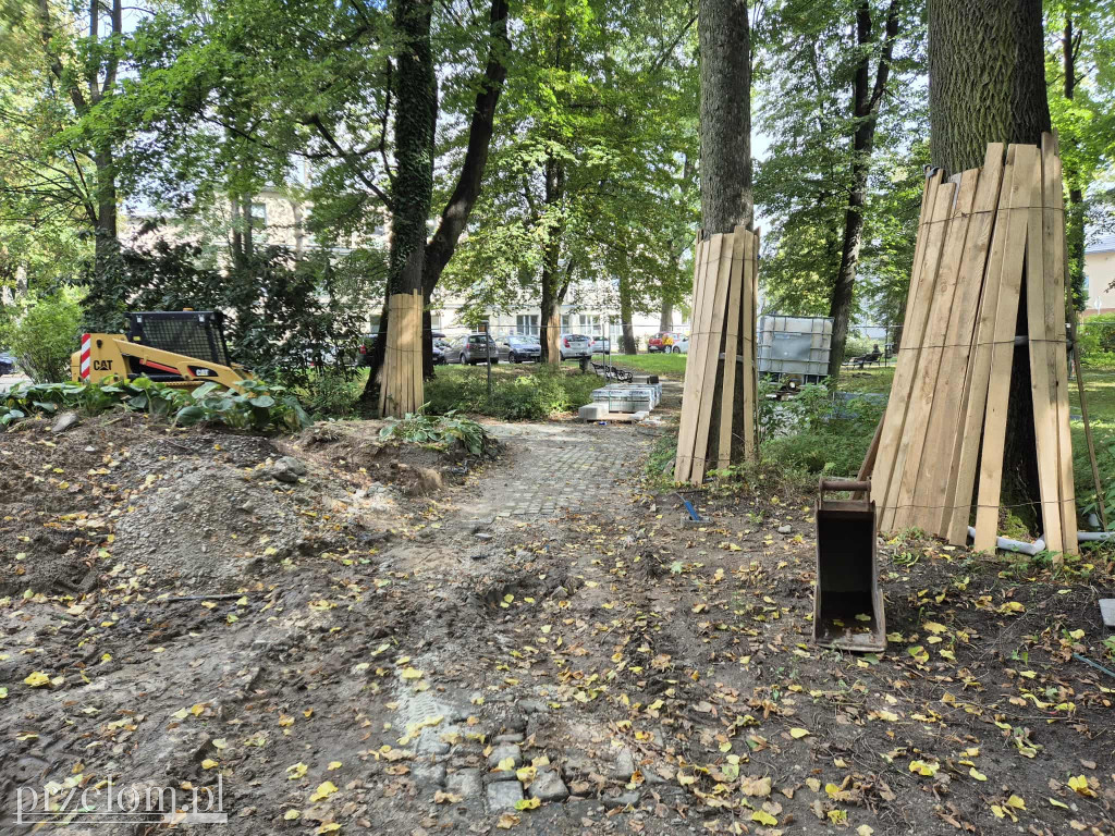 Rewitalizacja parku krzeszowickiej balneologii