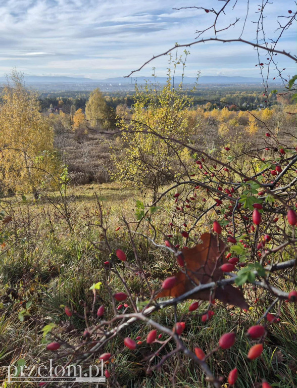 Spacer historyczny po Libiążu 25.10.25