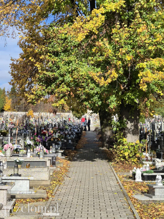 Spacer historyczny po Libiążu 25.10.25