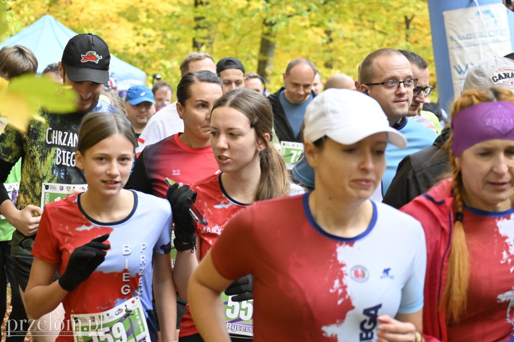 Bieg Run Gloria 2025 - 26.10.2025