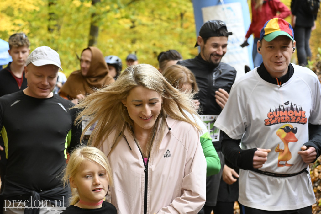 Bieg Run Gloria 2025 - 26.10.2025