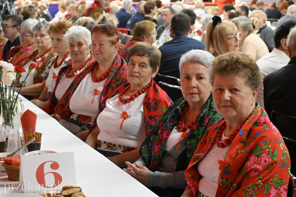 V Trzebińska Biesiada Patriotyczna - 11.11.2025
