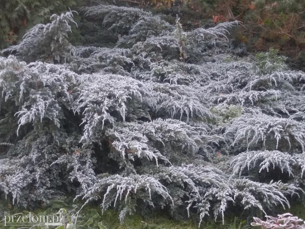 Listopad w obiektywach PRZEŁOMowych Kadrów