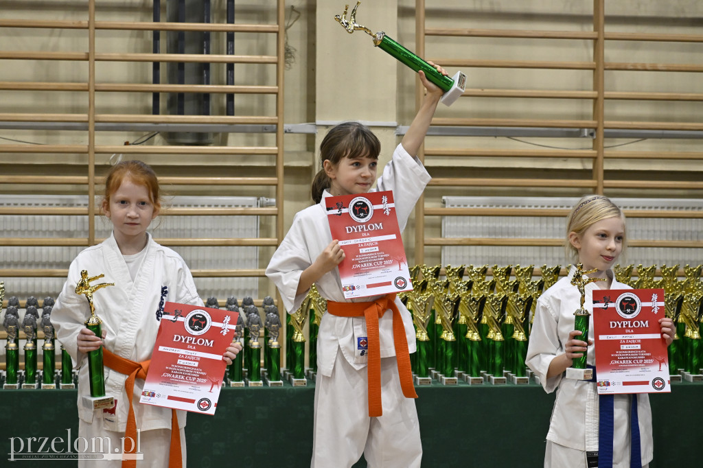 Ogólnopolski Turniej Karate Kyokushin Gwarek Cup - 22.11.2025