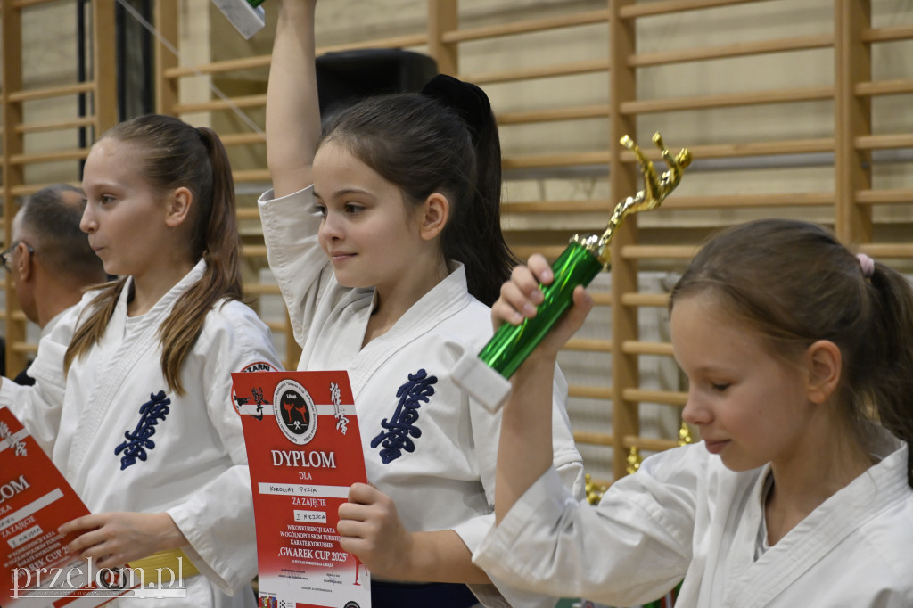 Ogólnopolski Turniej Karate Kyokushin Gwarek Cup - 22.11.2025