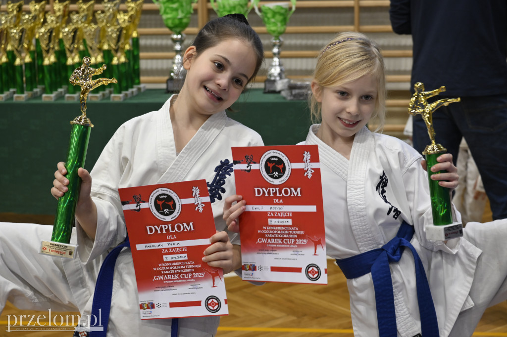 Ogólnopolski Turniej Karate Kyokushin Gwarek Cup - 22.11.2025