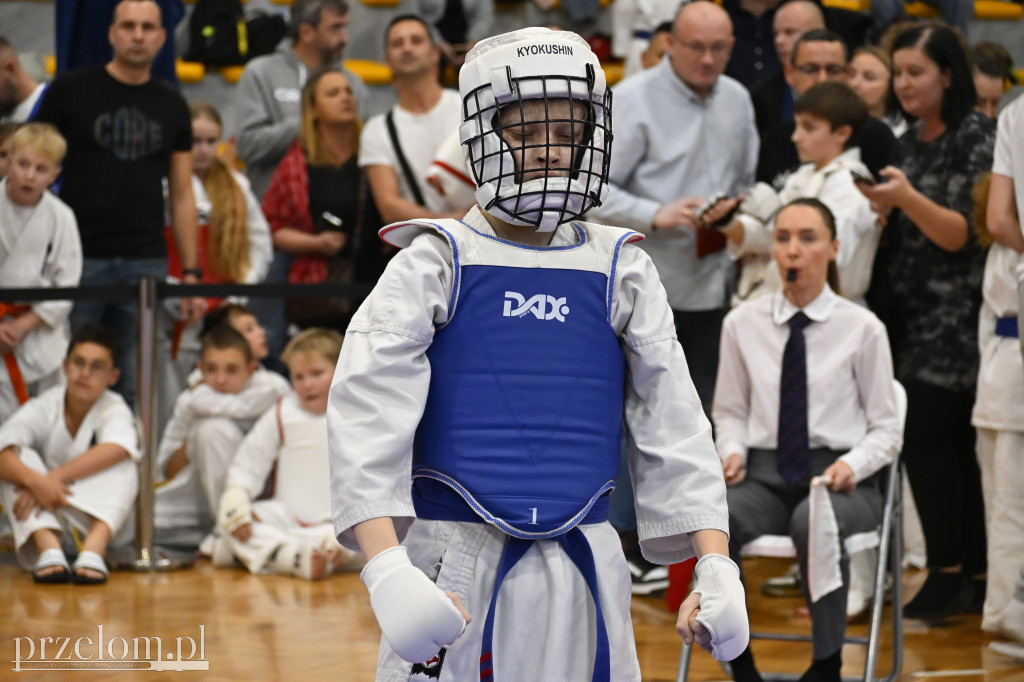 Ogólnopolski Turniej Karate Kyokushin Gwarek Cup - 22.11.2025